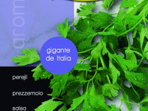Perejil gigante