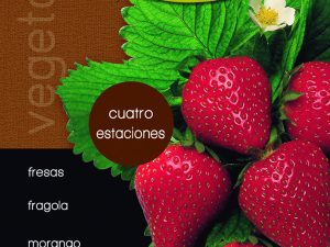 Fresas cuatro estaciones