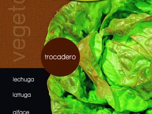 Lechuga trocadero