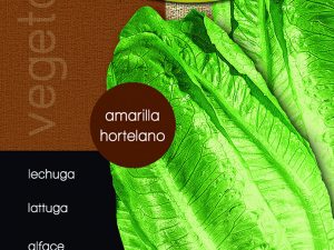 Lechuga amarillo hortelano