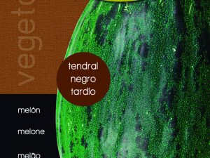 Melón tendral negro tardío