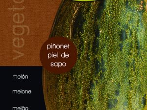 Melón piñonet piel de sapo