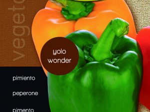 Pimiento yolo wonder