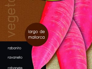 Rabanito largo de mallorca