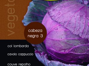 Col lombarda cabeza negra 3