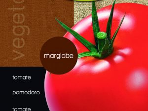 Tomate margoble