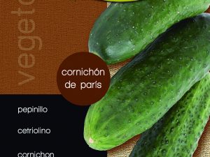 Pepinillo cornichon de parís