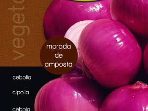 Cebolla morada de amposta