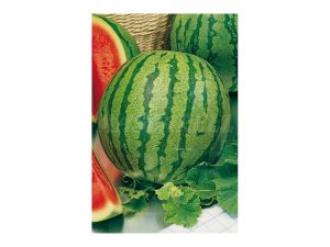 Sandia crimson sweet