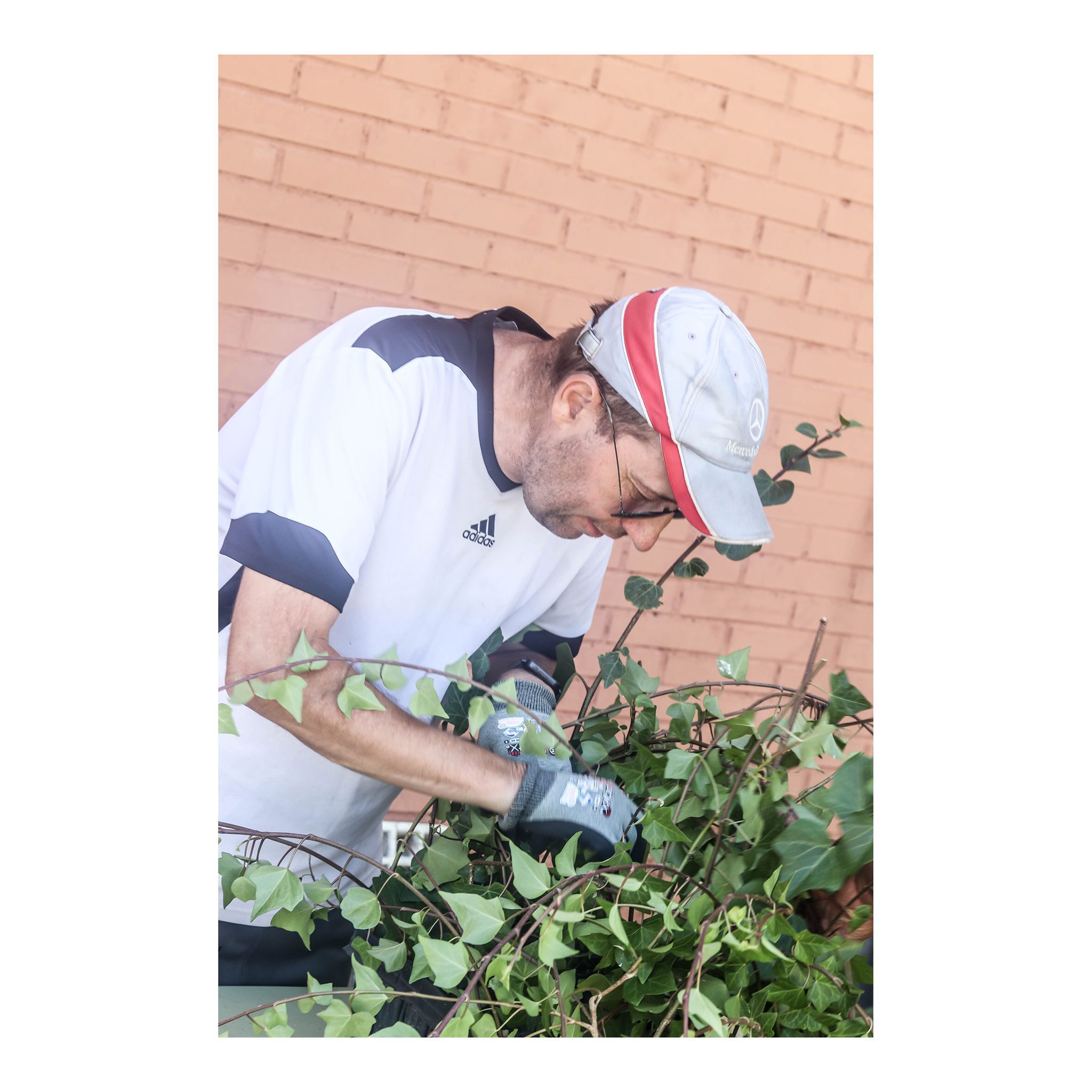 Alumno en practicas cortando esquejes