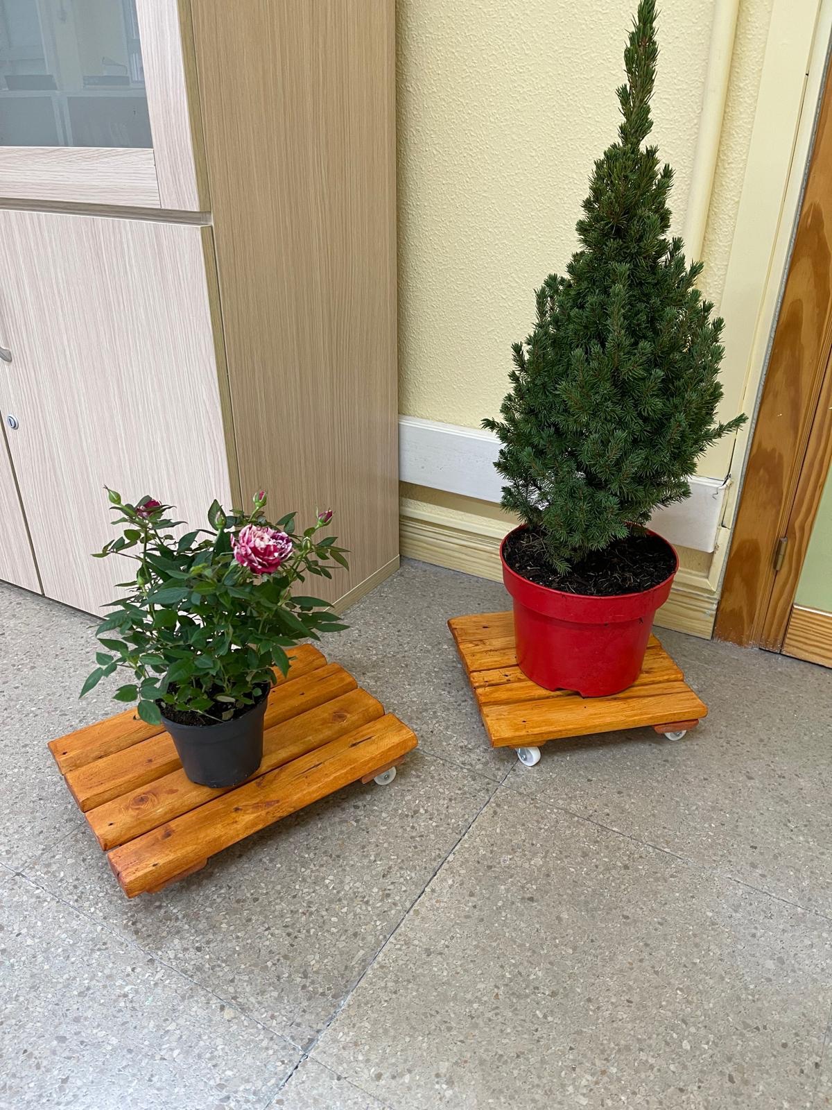 Soporte con ruedas para mover plantas - Imagen 2